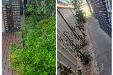Majestic-Yards-Landscaping-imgs-5